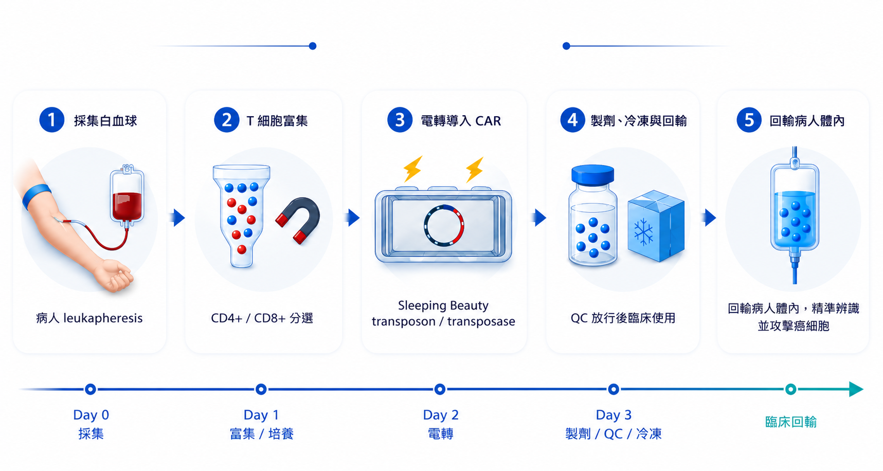 FIT™ CAR-T 細胞製造流程
